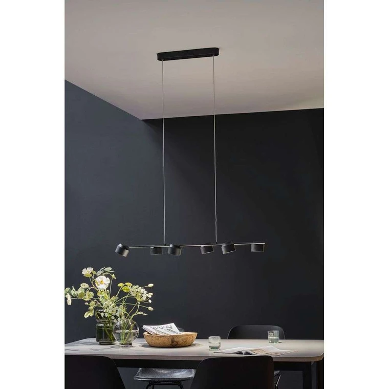 Puric Pane 6 Pendant Zigbee Dim. Black - Paulmann - Buy online