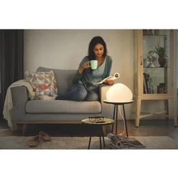 Philips hue wellner color discount