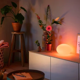 Flourish Hue Table Lamp Bluetooth White Color Amb. Philips Hue