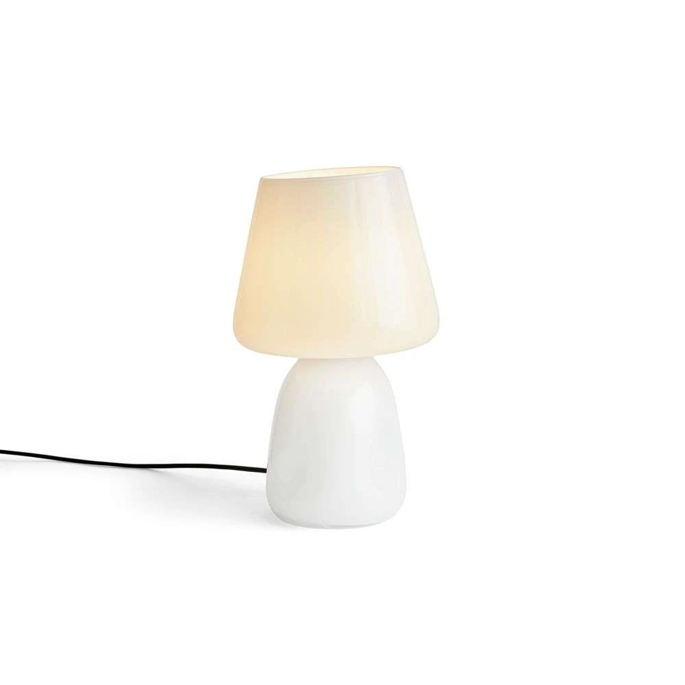 Portable lamp shade hotsell