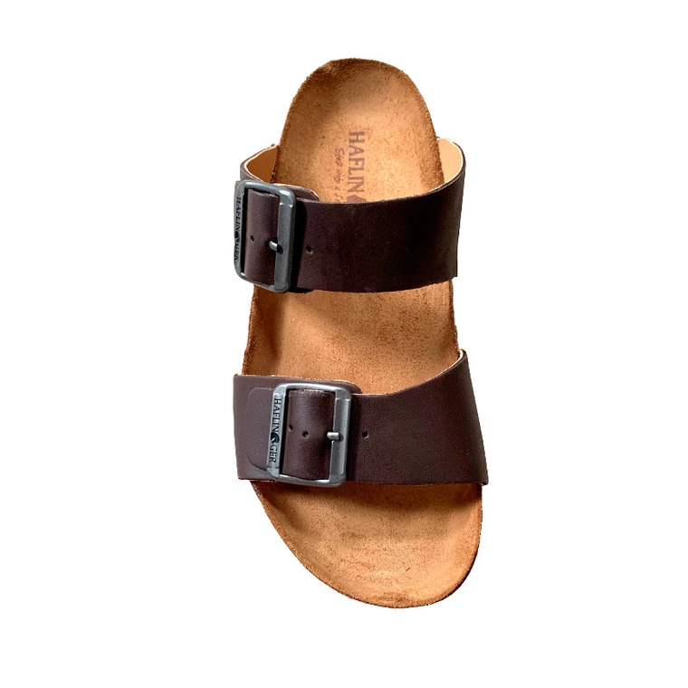 Haflinger andrea 2025