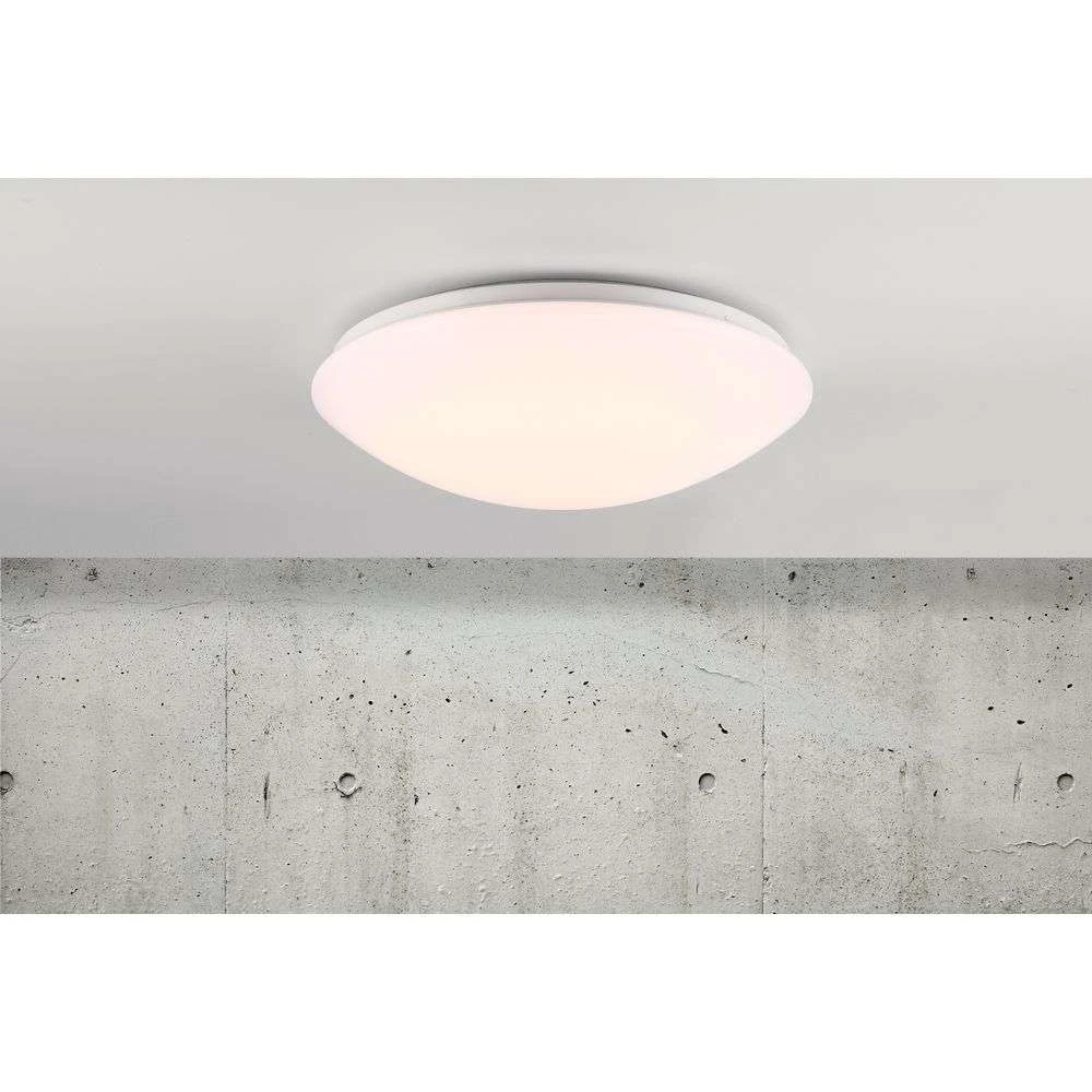 Ask IP44 w/Sensor - White 36 Nordlux LED Lamp Buy - online Ceiling