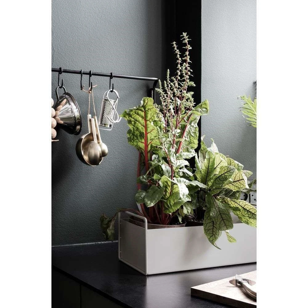 SLIM FLOWER POT  Small plants in tight spaces - Monkey