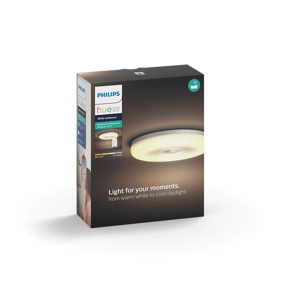 Struana bathroom ceiling deals light