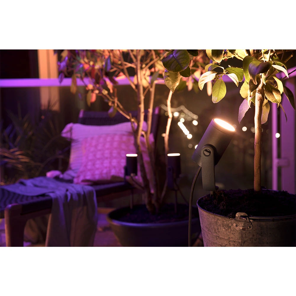 Hue lily shop