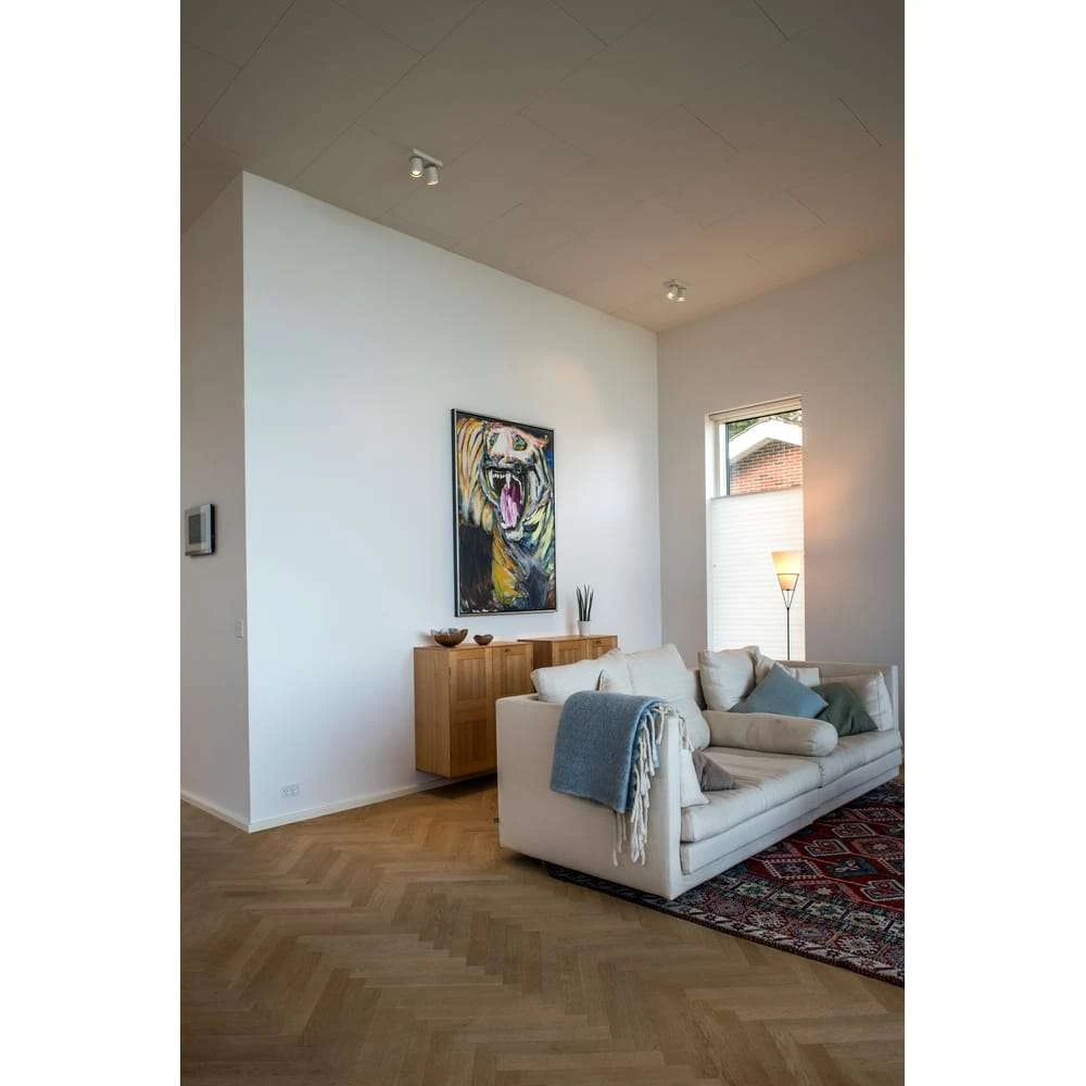 Focus light on sale for room