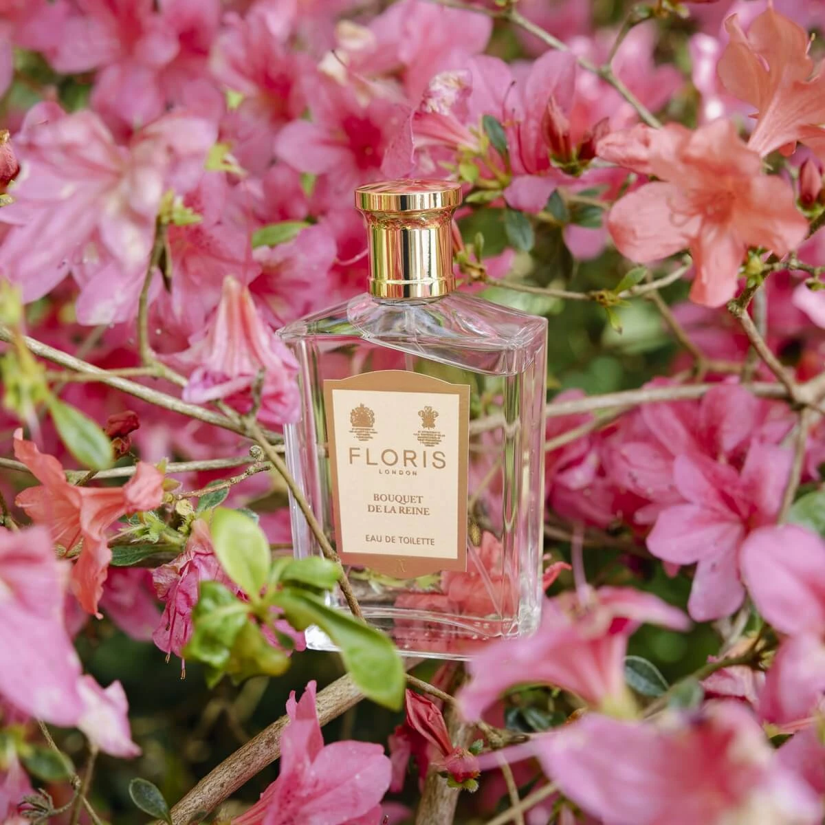 最終値下げ　FLORIS Bouquet de la Reine 100ml Bouquet de La Reine Floris perfumy - to perfumy dla kobiet 2002