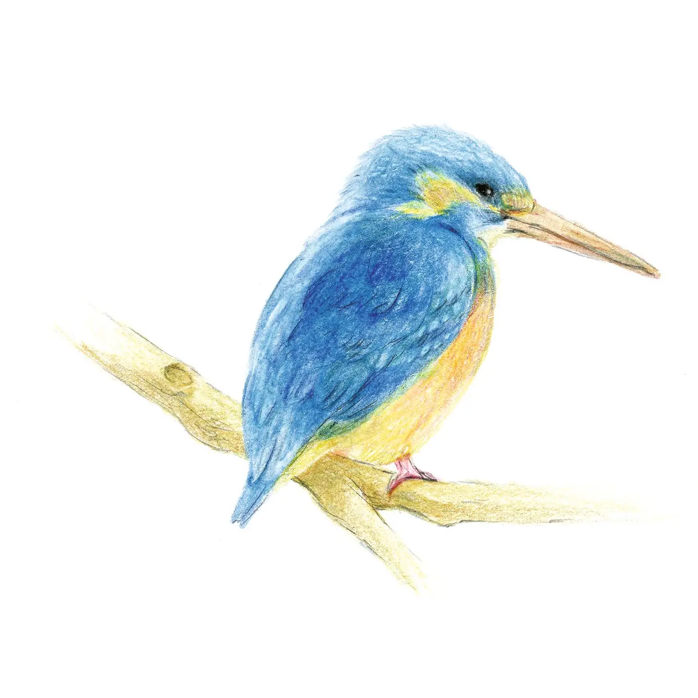 Tombow CI-RP8 color pencil IROJITEN Forget me not Blue