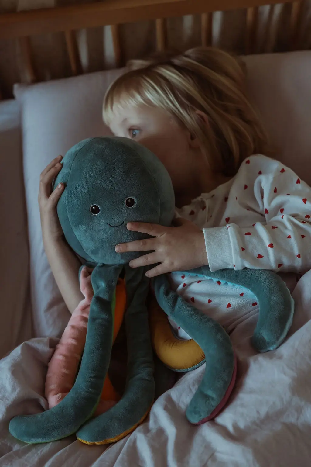 Explore the Weighted Octopus 1.2 kg from byASTRUP - Limited stock