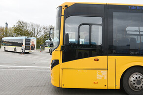 DSC_2900_gul_bus_web