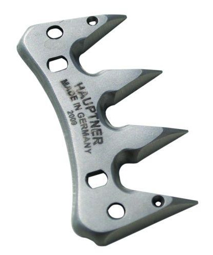 Hauptner overkam til får - 4T