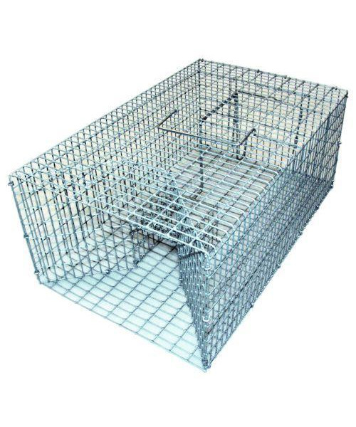 Rottefælde - familie billede