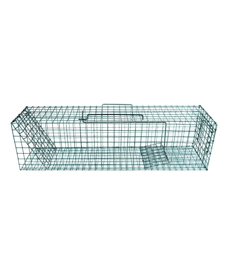 Mårhund hvalpefælde billede