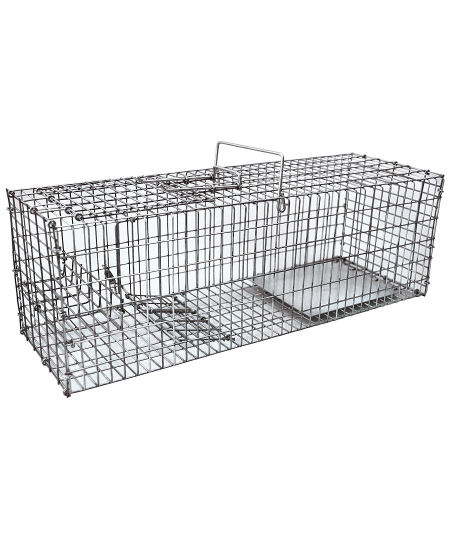 Mosegrisfælde billede