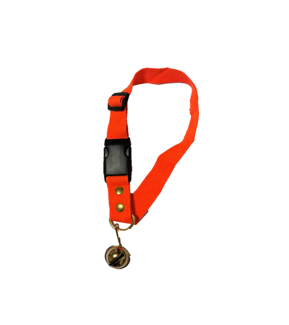 Hundehalsbånd M/Klokke - Orange