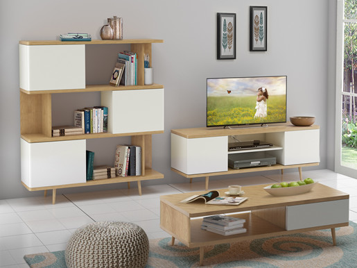 TV-Lowboard ANNE aus Spanplatte foliert in weiß und eiche