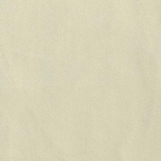 Esszimmerstuhl Sille (Set, 2 St), Schalenstuhl aus Kunststoff, Sitzkissen in Samtoptik, Sitzhöhe 48 cm in beige