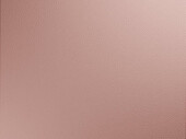Stuhl Orca (Set, 2 St), Gestell aus Metall, Sitzschale aus Kunststoff, modern, Schalenstuhl in rose