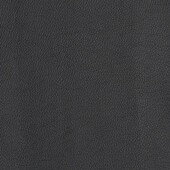 Esszimmerstuhl Amalie (2 St), Schalenstuhl Sitzkissen, Gestell aus massivem Buche, Sitzhöhe 46,5 cm in schwarz