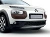 Diffuser forkofanger C4Cactus