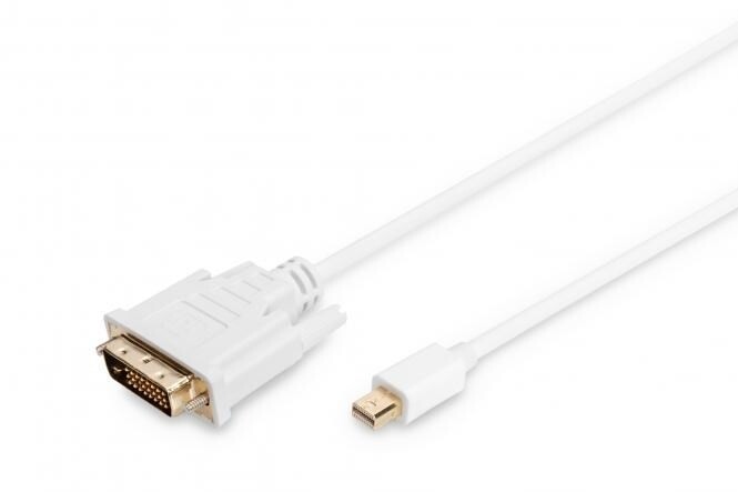 Digitus DIGITUS mini DisplayPort-DVI-D (24+1) adapter M/M 2 m, White