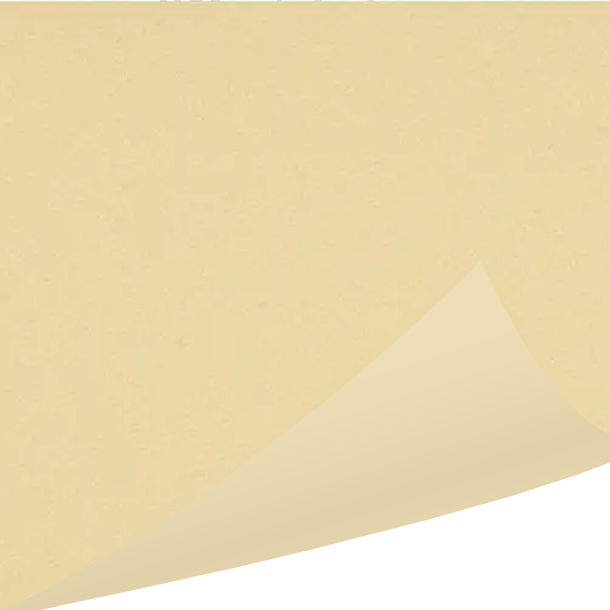 Dug, Gastro-Line, champagne, airlaid, 120cm x 2.500cm