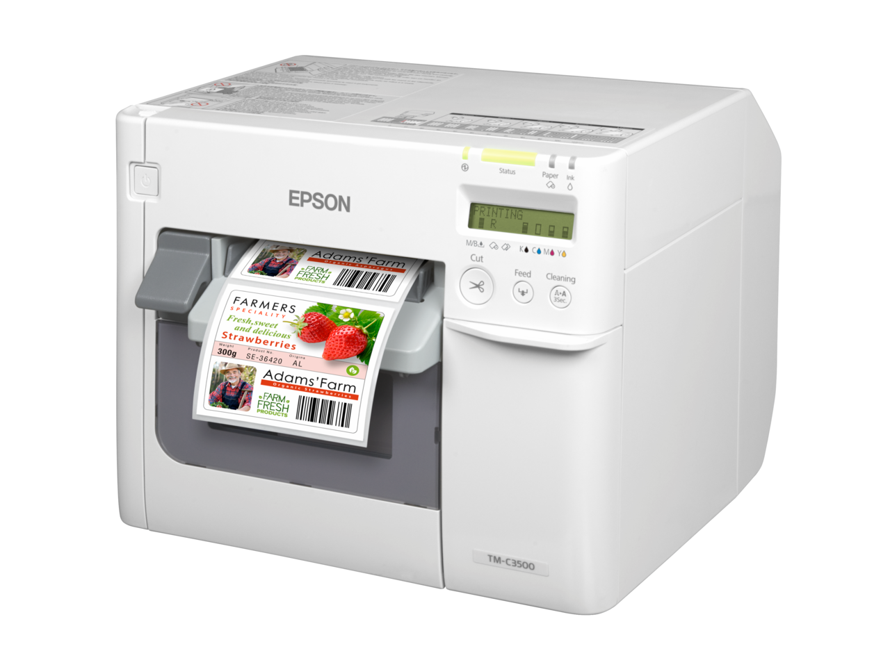 Etiket Printer Epson ColorWorks C3500 (012CD) incl. NiceLabel CD