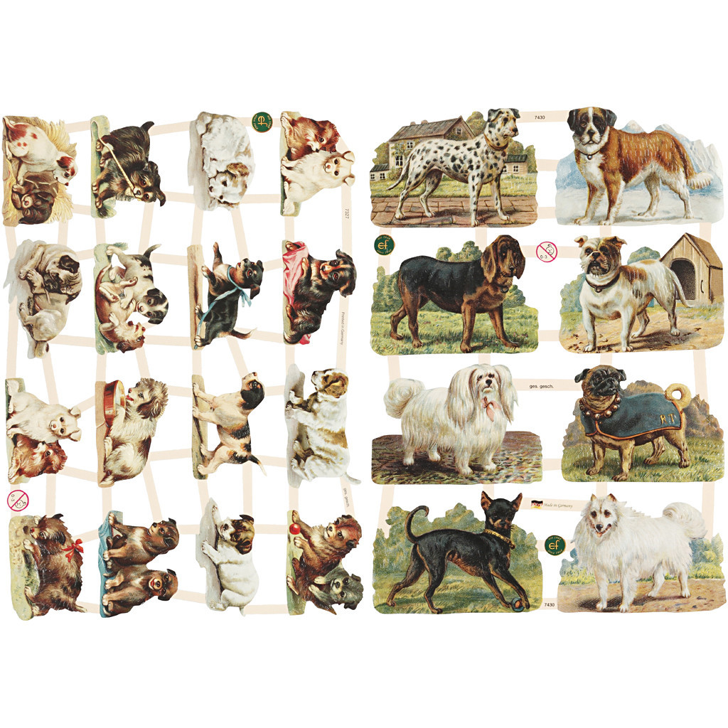 Glansbilleder, ark 16,5x23,5 cm, hunde, 2ark