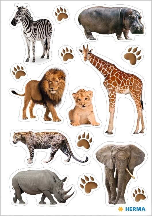 10 stk. Klistermærker Herma stickers Decor Afrikas dyr (3) - Køb minimum 10 stk.