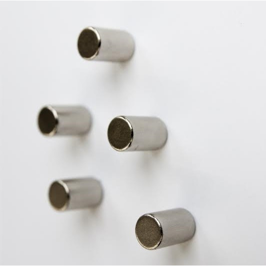 Magneter Lintex - 5 stk