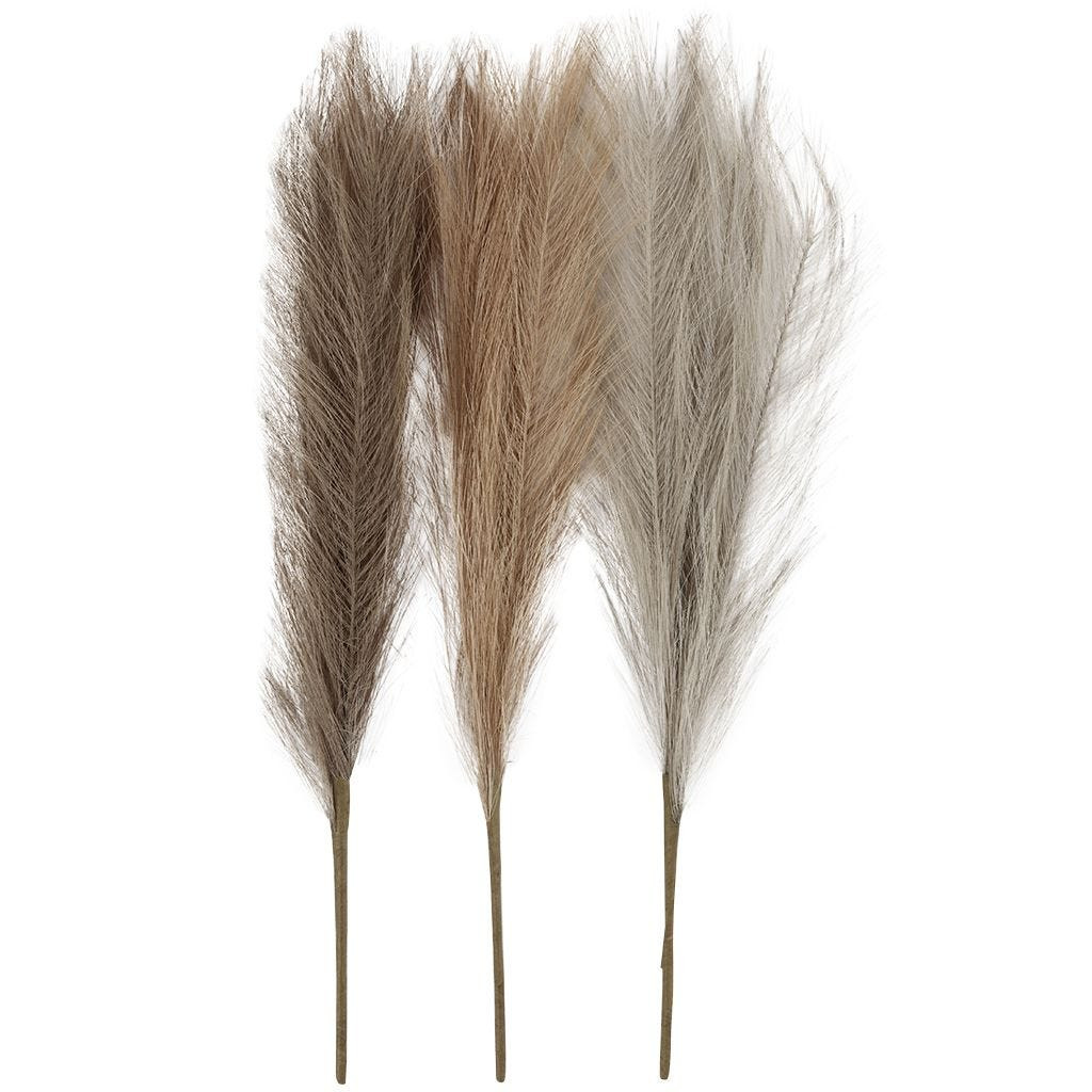 Pampasgræs | lys pudder-lys brun-lys grå | 50 cm