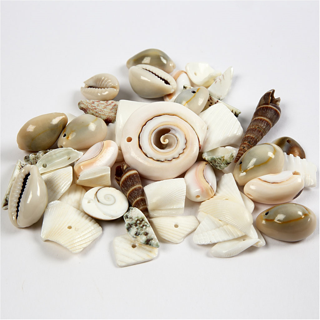Strandskaller, str. 9-40 mm, hulstr. 1-1,5 mm, 120g
