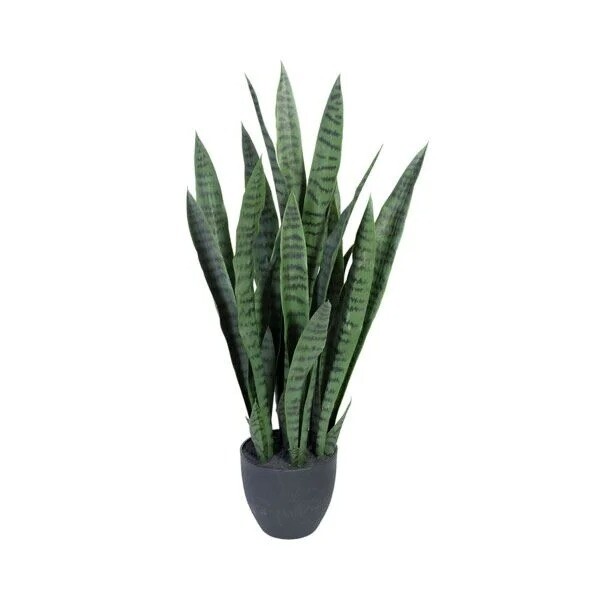Svigermors tunge, kunstig plante
