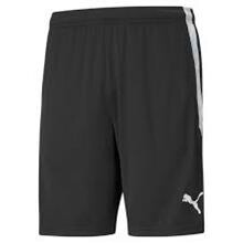 AIF træner shorts Puma 657249 03