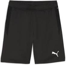 AIF træner shorts Puma 661064 03