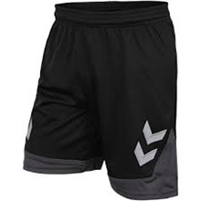 Hardsyssel shorts unisex