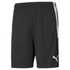 AIF træner shorts Puma 657249 03