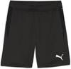 AIF træner shorts Puma 661064 03