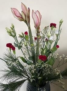 Høj amaryllis buket