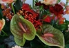 Krans med roser og anthurium