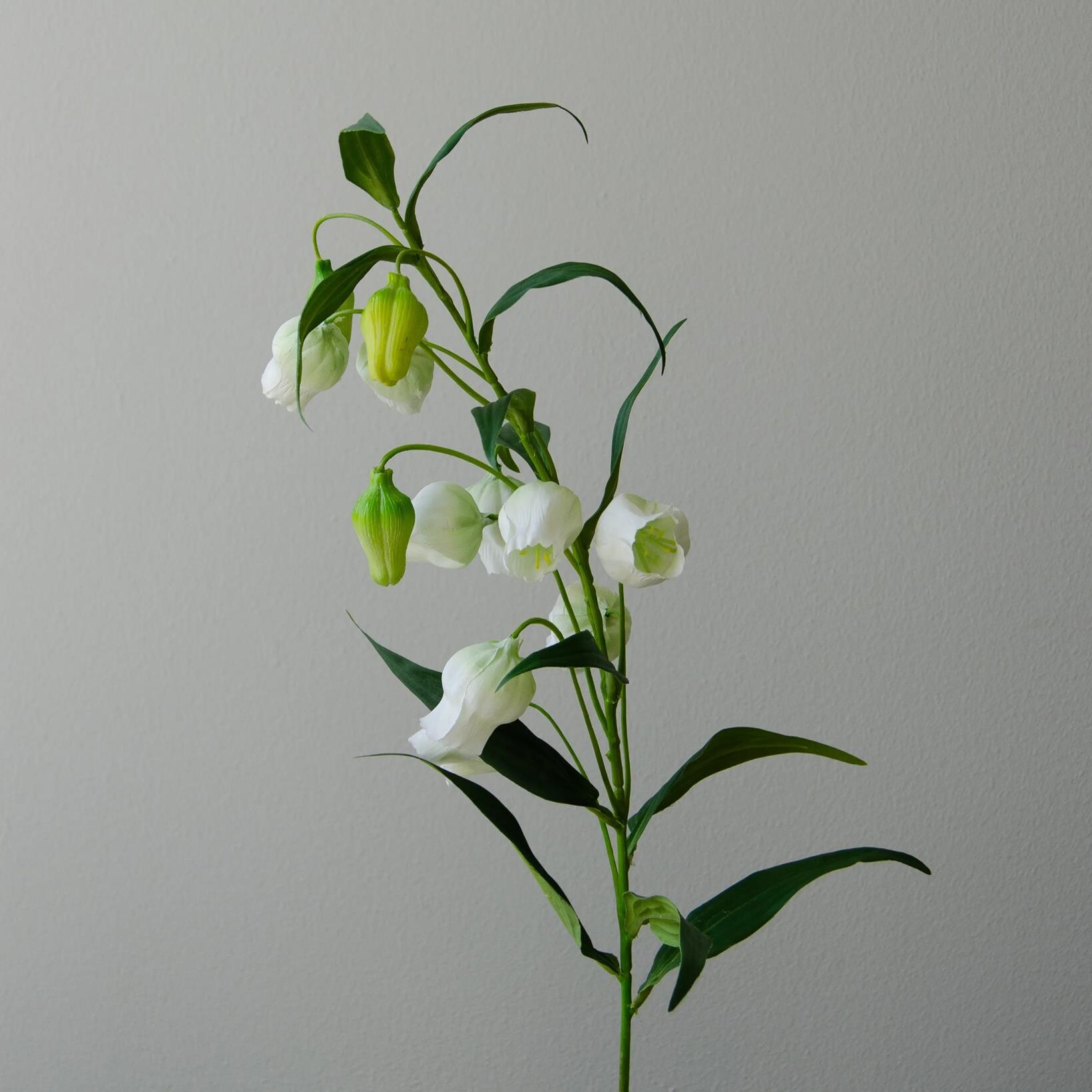 Botané Studios Chinese Lantern Lily Flower White - Livingshop.dk