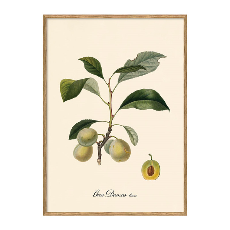 The Dybdahl Co. Gros Damas Plakat