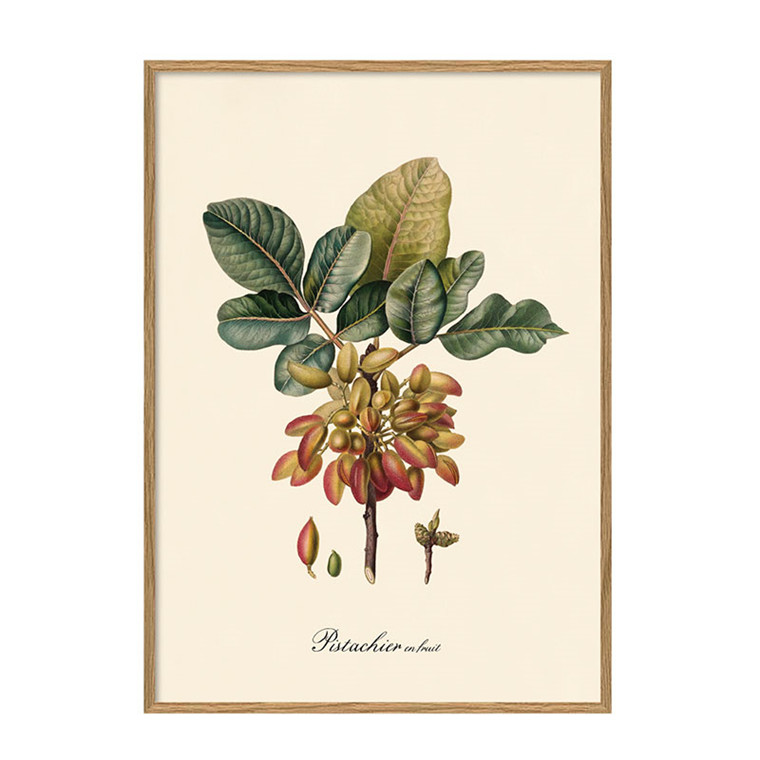 The Dybdahl Co. Pistachier Plakat