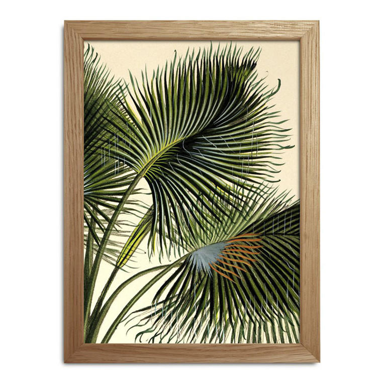 The Dybdahl Co. Plants Mini Print #RC020