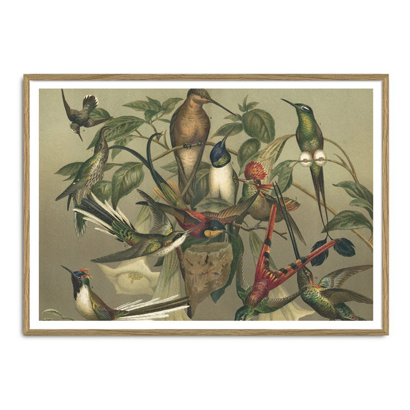 The Dybdahl Co. The Dybdahl Co. Hummingbirds Plakat Gaveideer Til Enhver Anledning