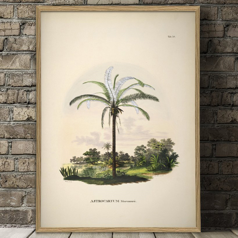 The Dybdahl Co. Astrocaryum Murumurú Plakat