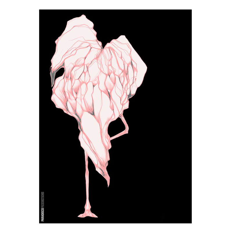 Paradisco Productions Disco Flamingo Plakat