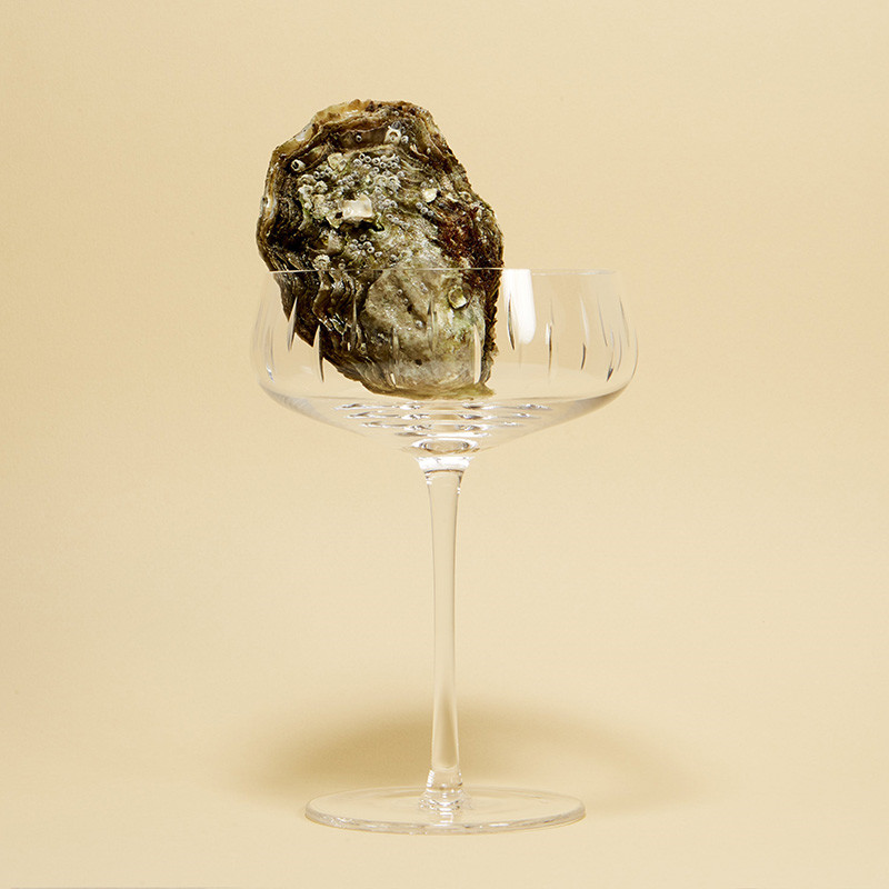 Louise Roe Louise Roe Crystal Champagne Coupe Clear Nyheder Til Boligindretning
