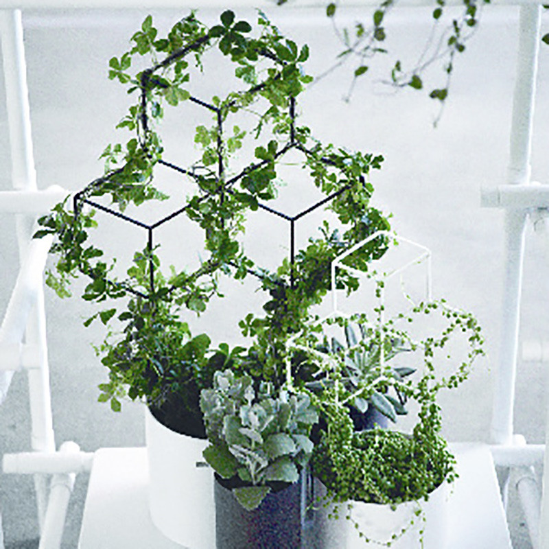 Menu Menu Pov Planter Black Dekoration Til Hjemmet