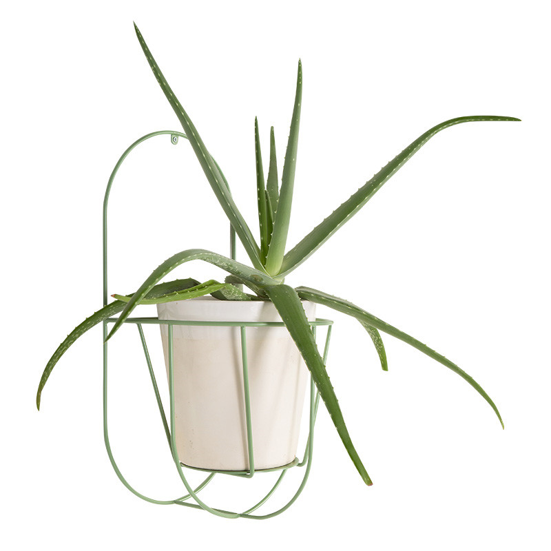 Ok Design Wall Cibele Sea Green